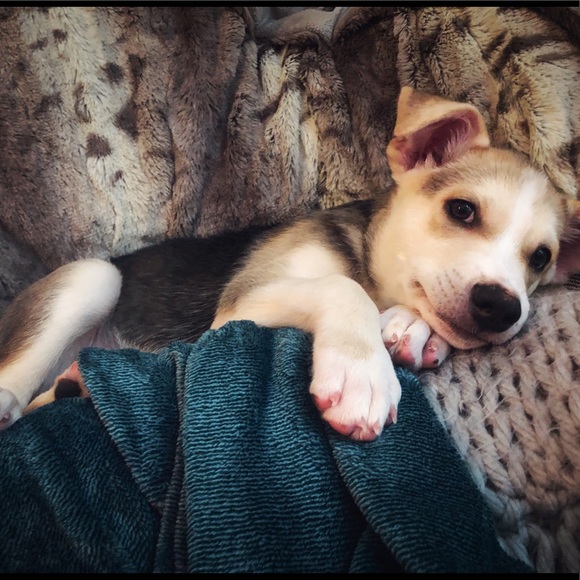 Meet your Posher, Jamie - Picture 6 of 7